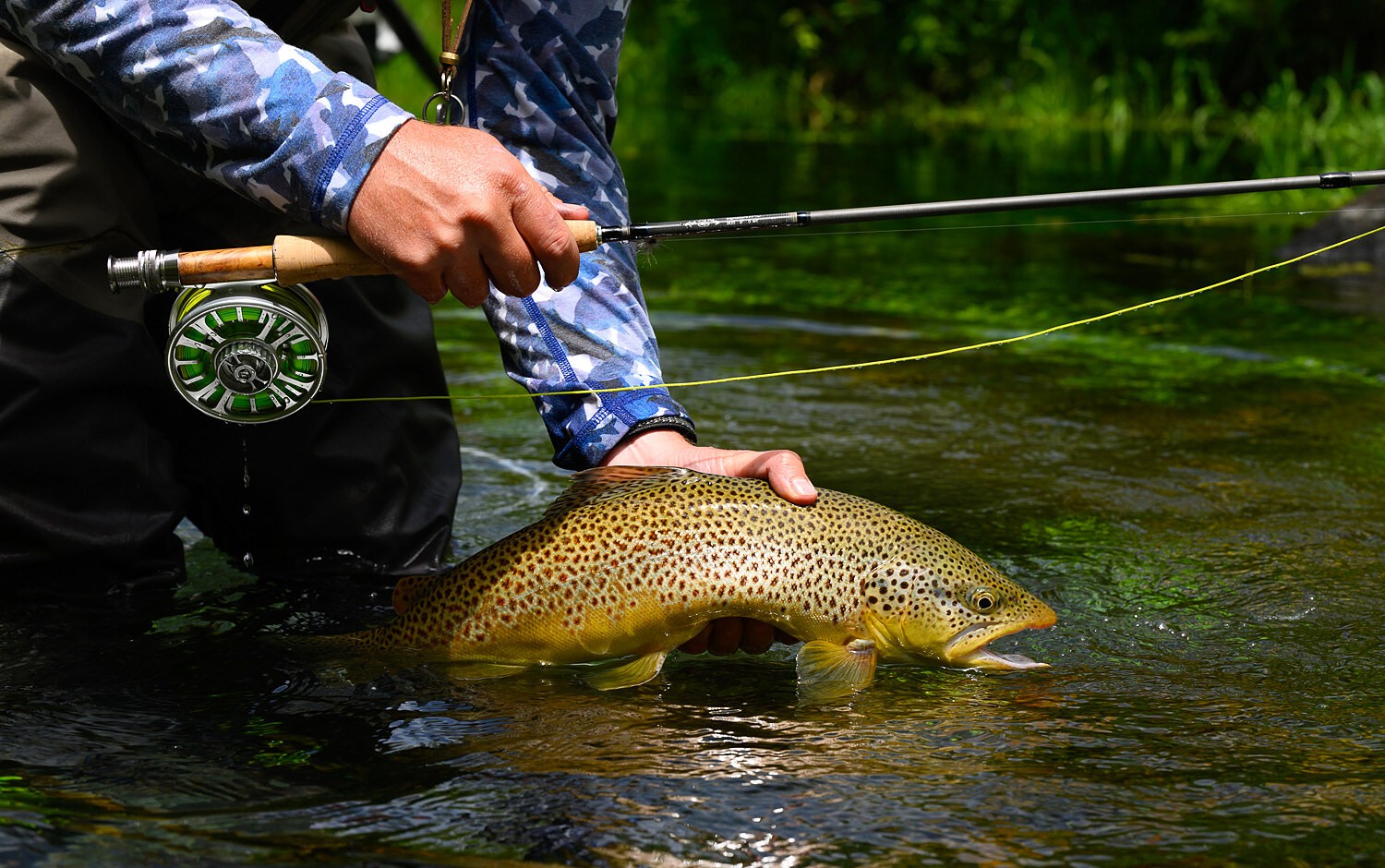 Fly fishing on East Canyon Creek